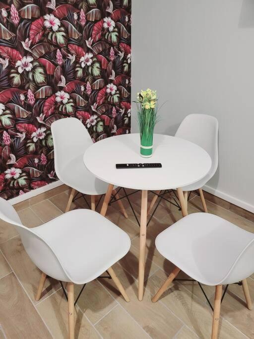 Family Flat Stade De France Airport Cdg Le Bourget "Appart'7" Pierrefitte-sur-Seine Ngoại thất bức ảnh